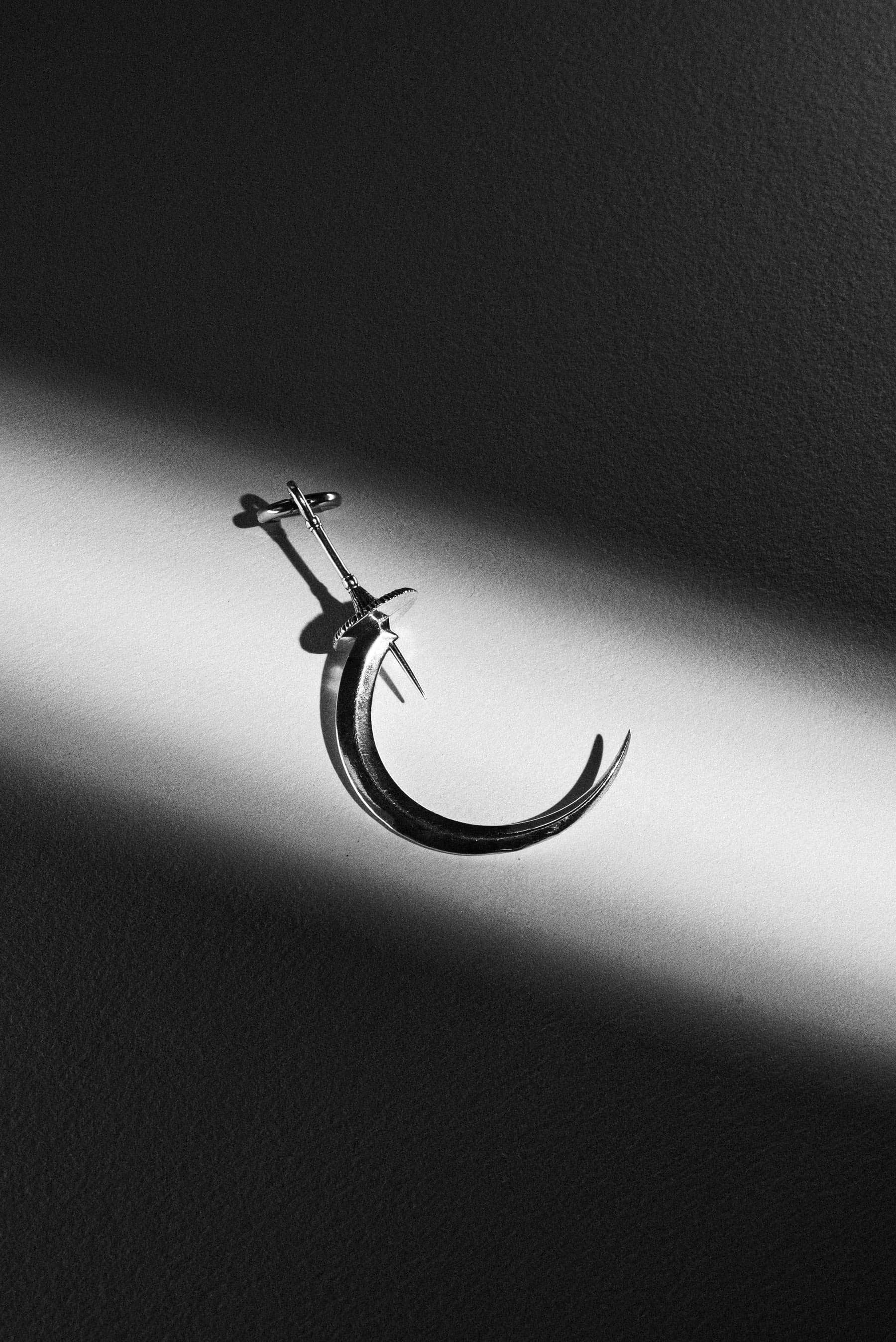 Sickle Earrings