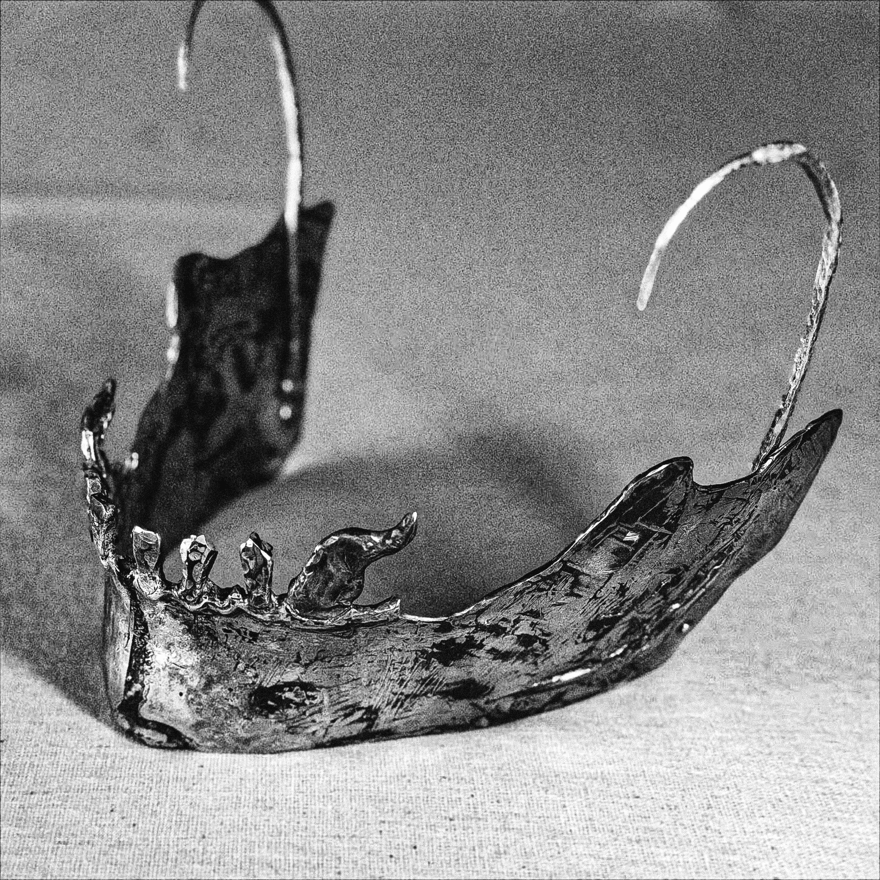 Ochirvaani